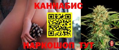 Альфа ПВП Шебекино