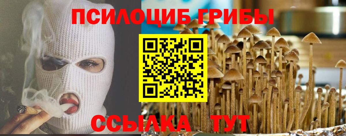 Бахчисарай  Галлюциногенные грибы Magic Shrooms  Псилоцибиновые грибы Psilocybe  Вход с VPN 