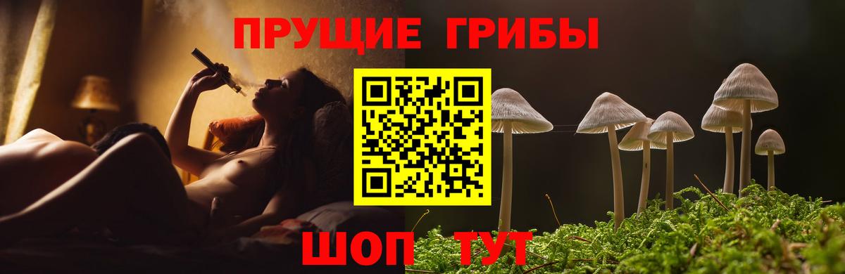 Псилоцибиновые грибы Psilocybine cubensis Бахчисарай