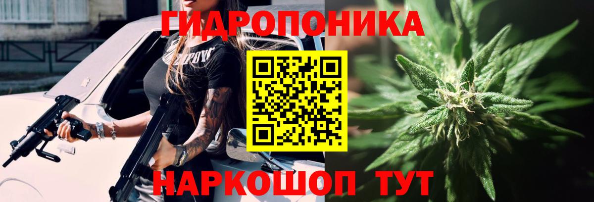Конопля ГИДРОПОН  Канабис White Widow  Вход с VPN  Марихуана SATIVA & INDICA  Бахчисарай  Бошки марихуана марихуана 